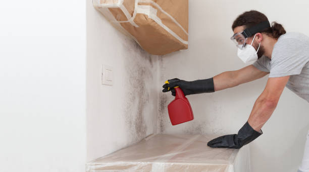 Professional Crawl Space Mold Removal technician working in Buckingham, FL
